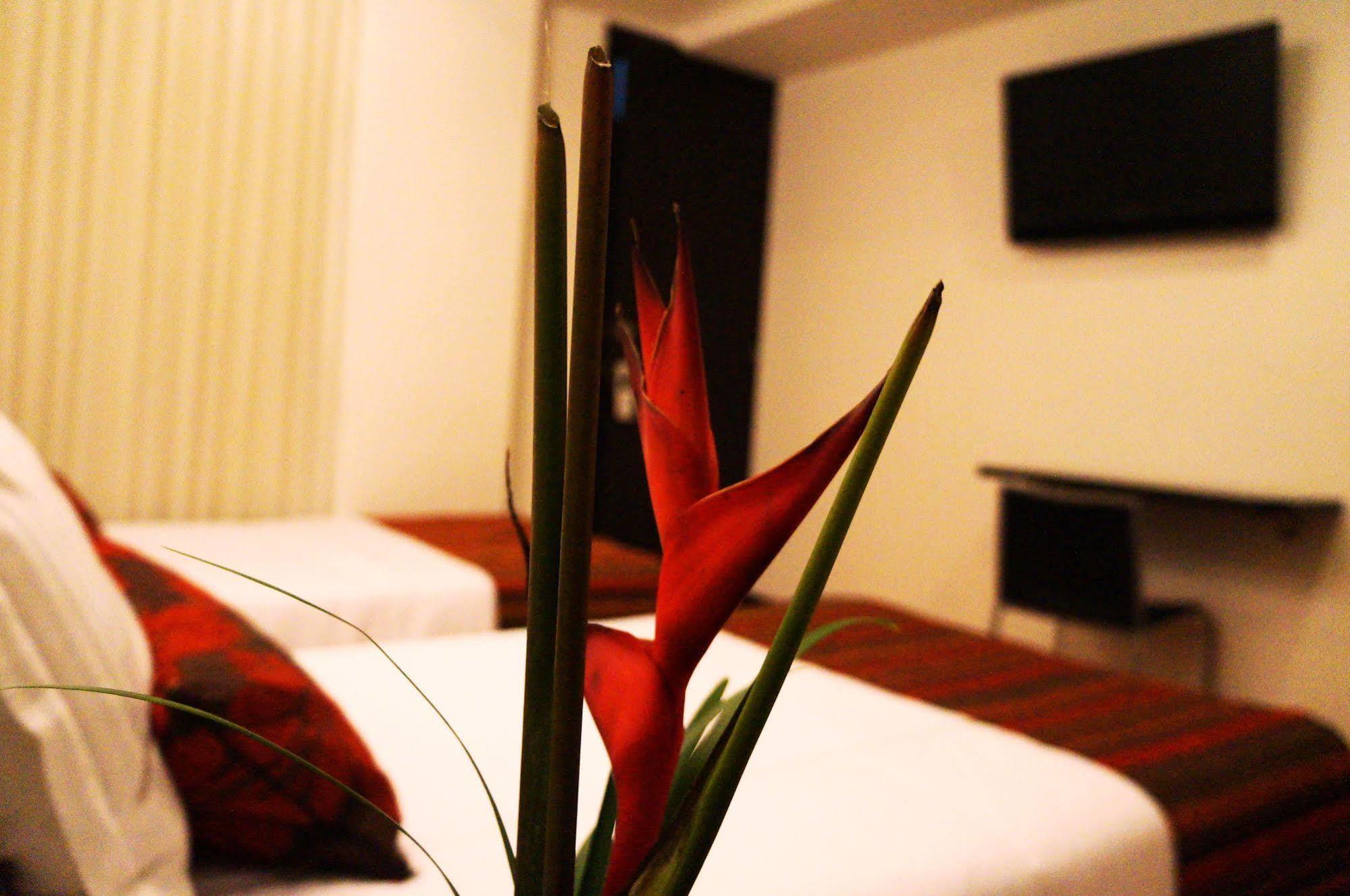 Hotel Airport Travel Μπογκοτά Εξωτερικό φωτογραφία